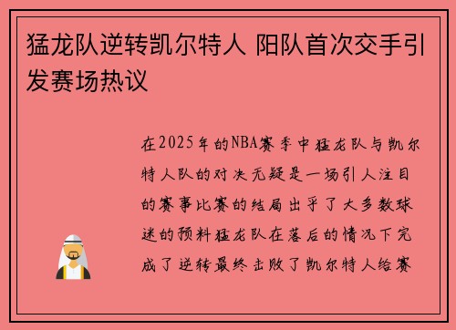 猛龙队逆转凯尔特人 阳队首次交手引发赛场热议