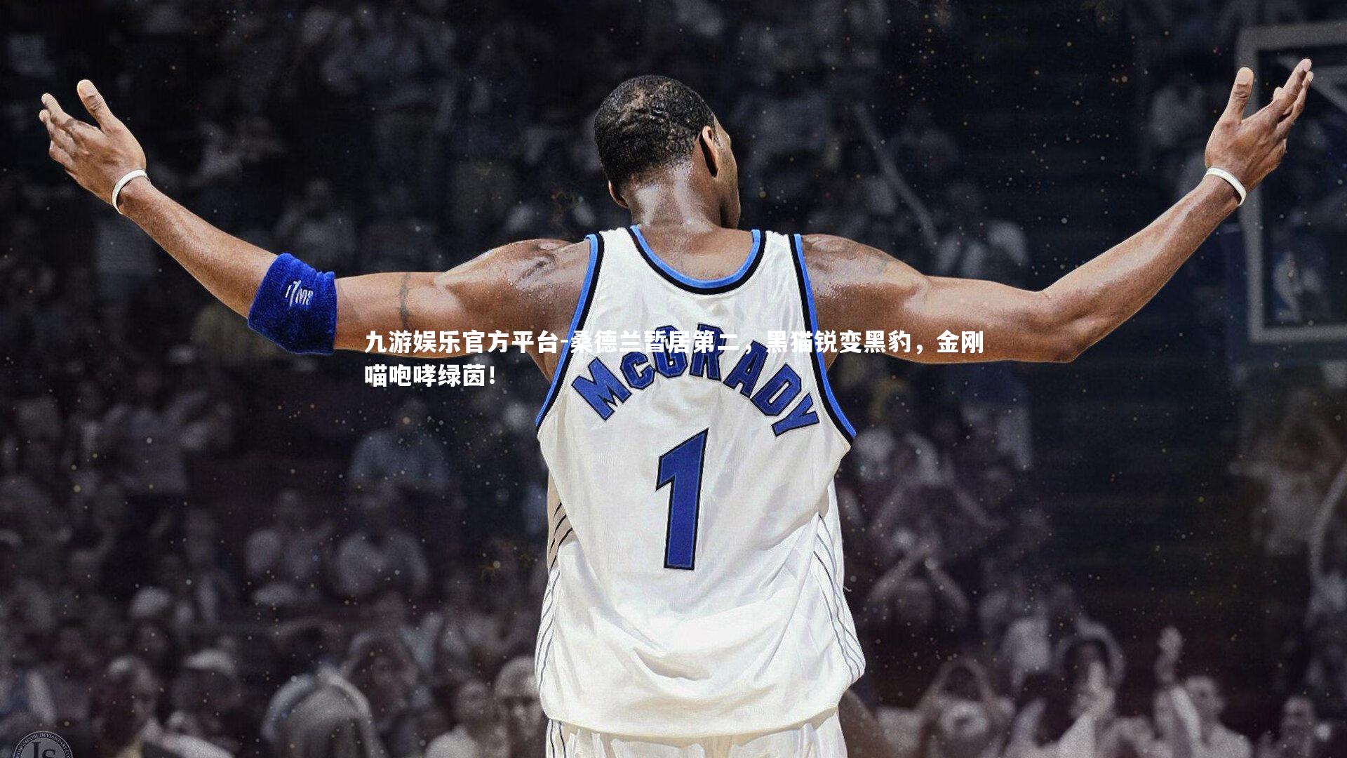九游娱乐官方平台-桑德兰暂居第二，黑猫锐变黑豹，金刚喵咆哮绿茵！